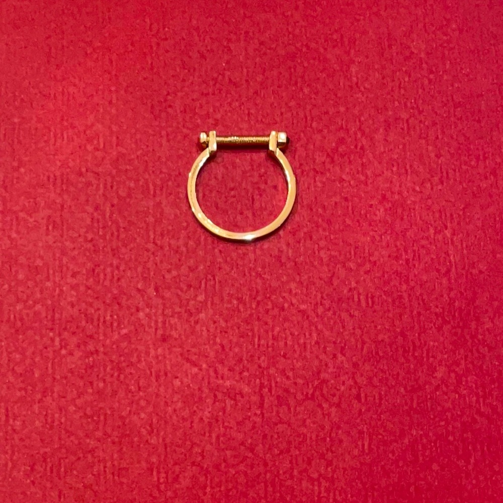 AllSaints Gold Plated Screw Ring